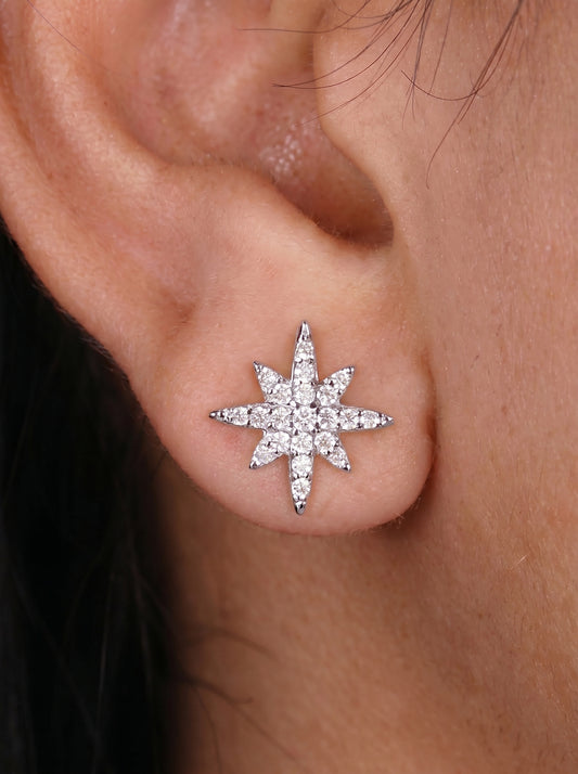 Lady Star Zircon Earrings
